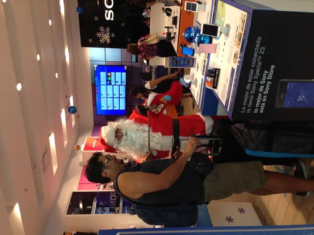 Sony Selfie Santa